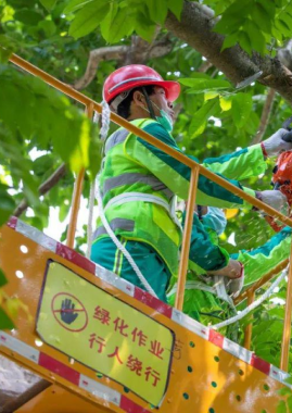 园林绿化